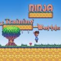 ninja game