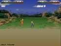 Dragonball Z - Dragon Ball game