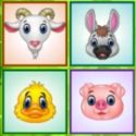 Animals boards - search game