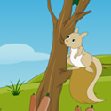 Escape squirrel from american island - szabaduló játék